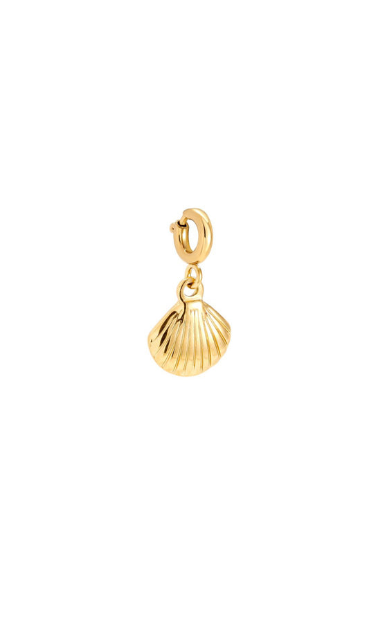 Charm kleine Muschel Gold