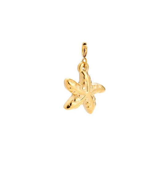 Charm Seestern Gold